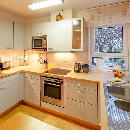 Haubentaucher Hemmenhofen