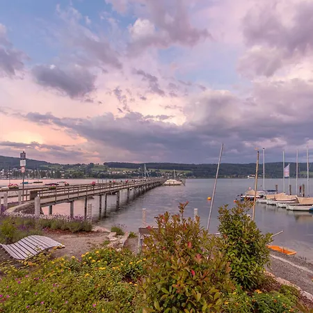 Haubentaucher * Hemmenhofen