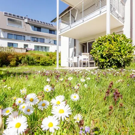 Haubentaucher * Hemmenhofen